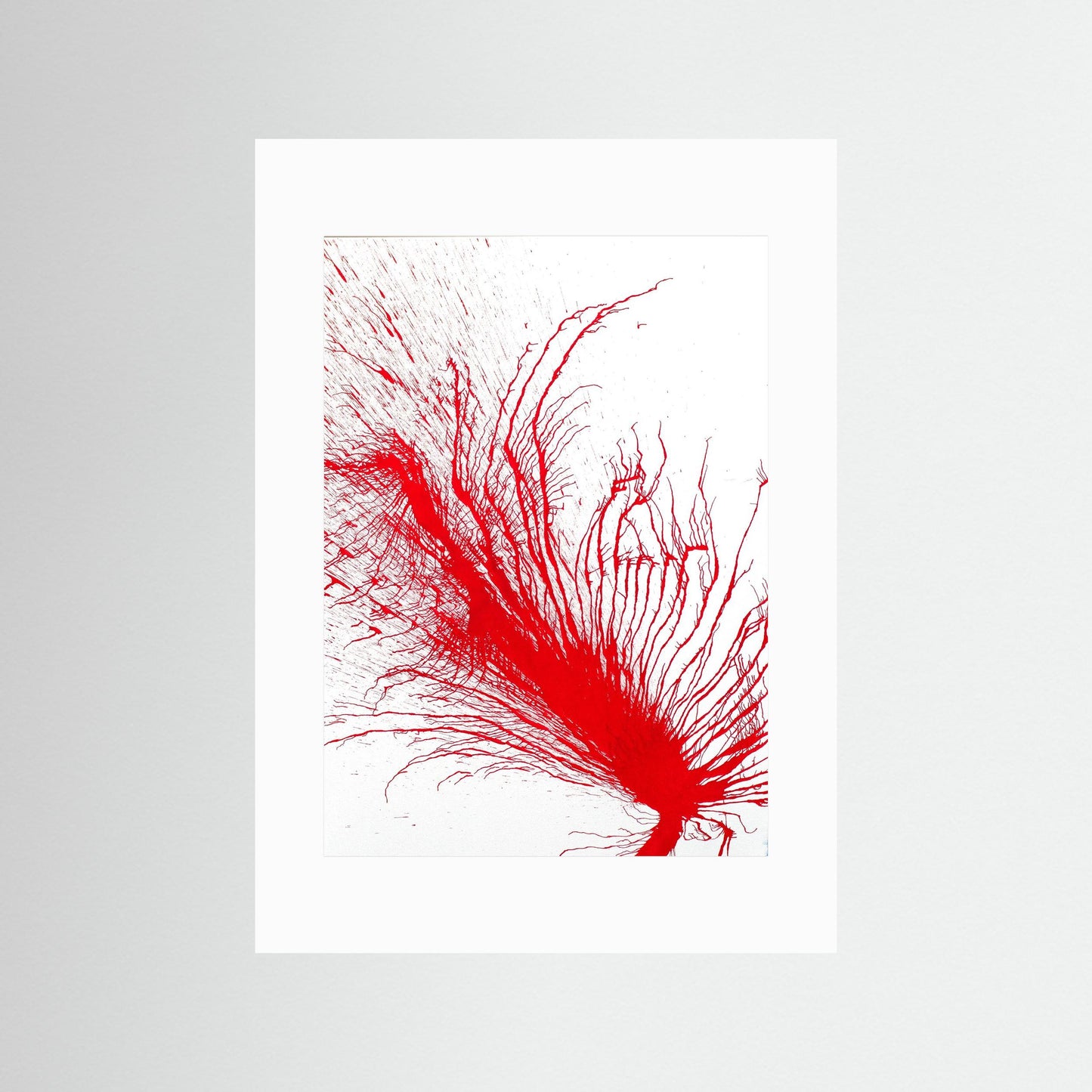 Flame Flower: The gift for gardeners!