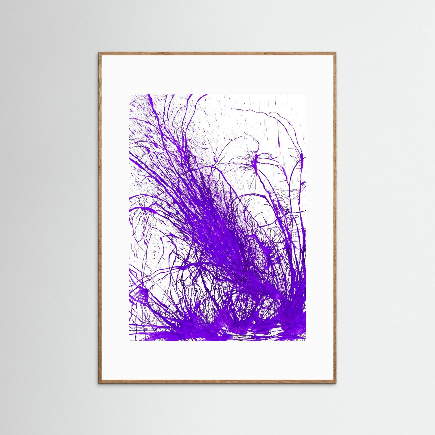 Purple Bloom: Gardners' Delight!