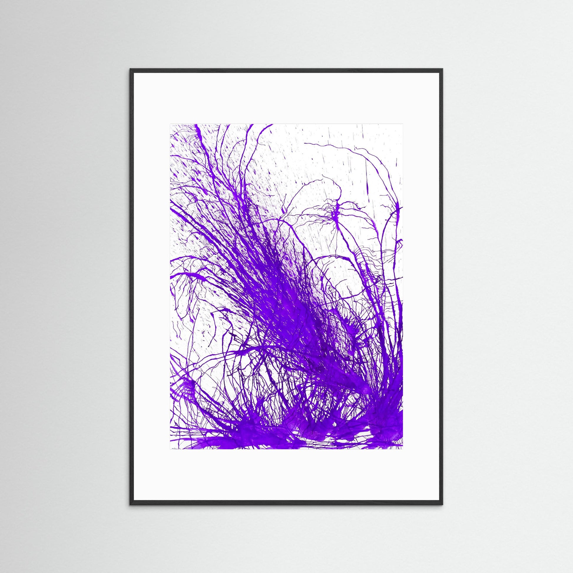 Purple Bloom: Gardners' Delight!