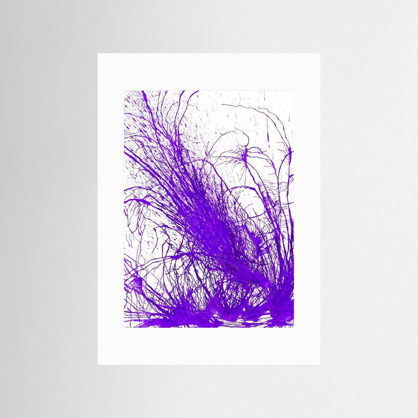 Purple Bloom: Gardners' Delight!