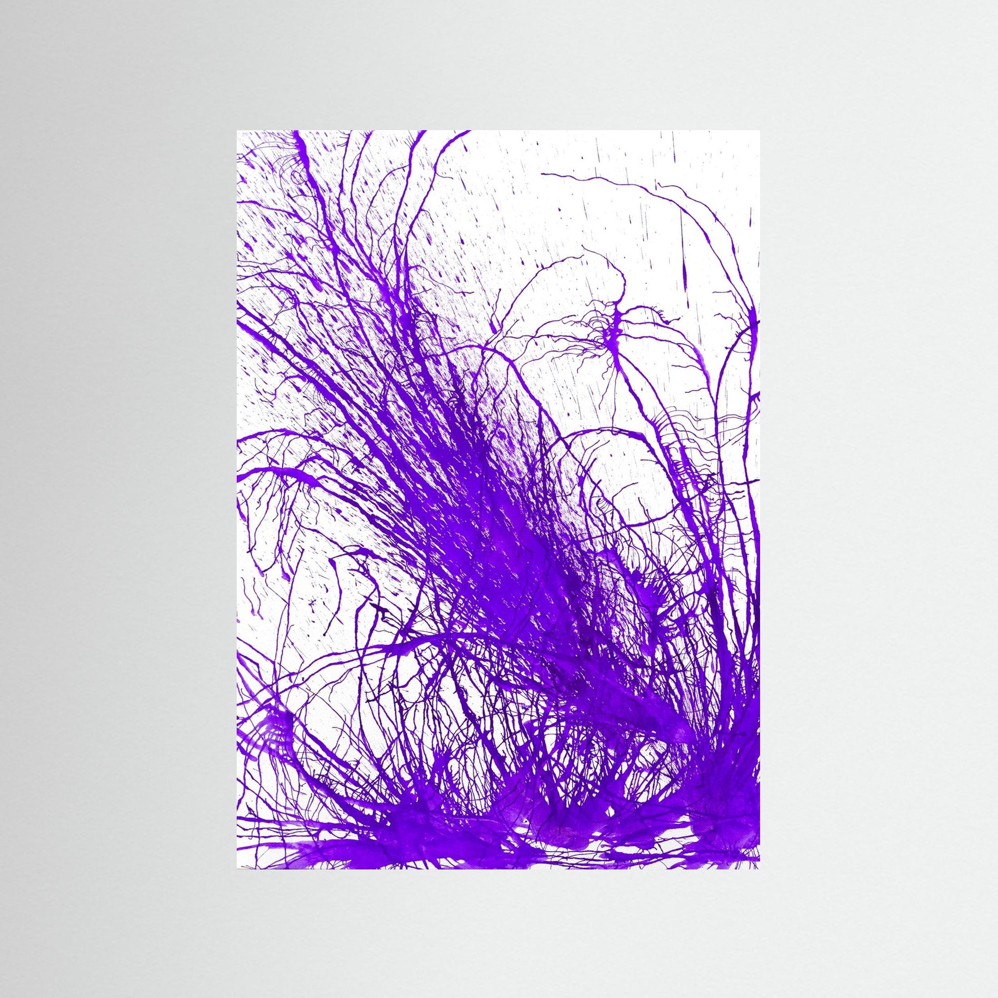 Purple Bloom: Gardners' Delight!