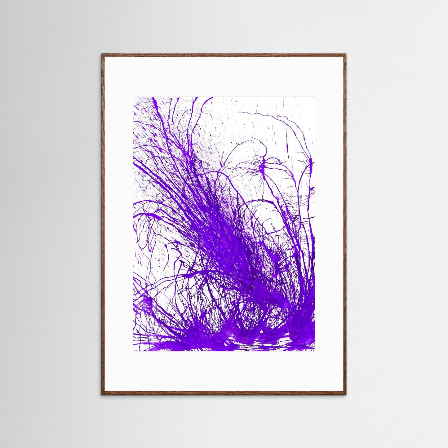 Purple Bloom: Gardners' Delight!