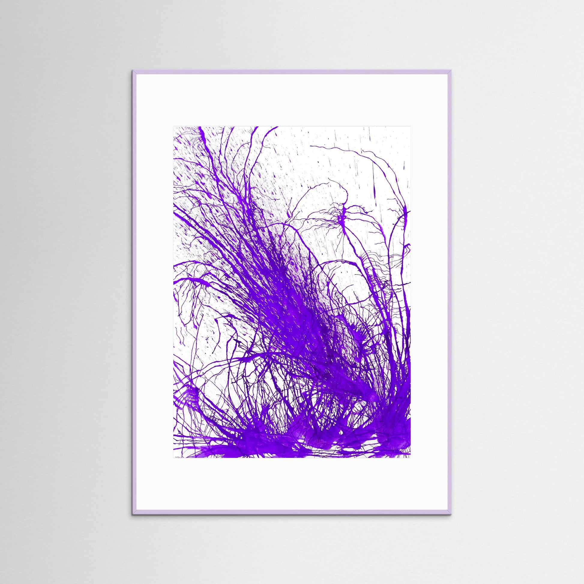 Purple Bloom: Gardners' Delight!