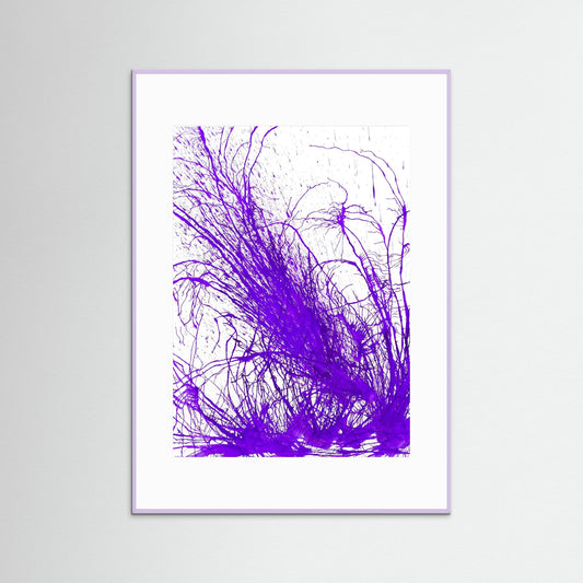 Purple Bloom: Gardners' Delight!